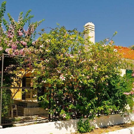 House With Garden Near The Sea Lägenhet Agia Efimia Exteriör bild