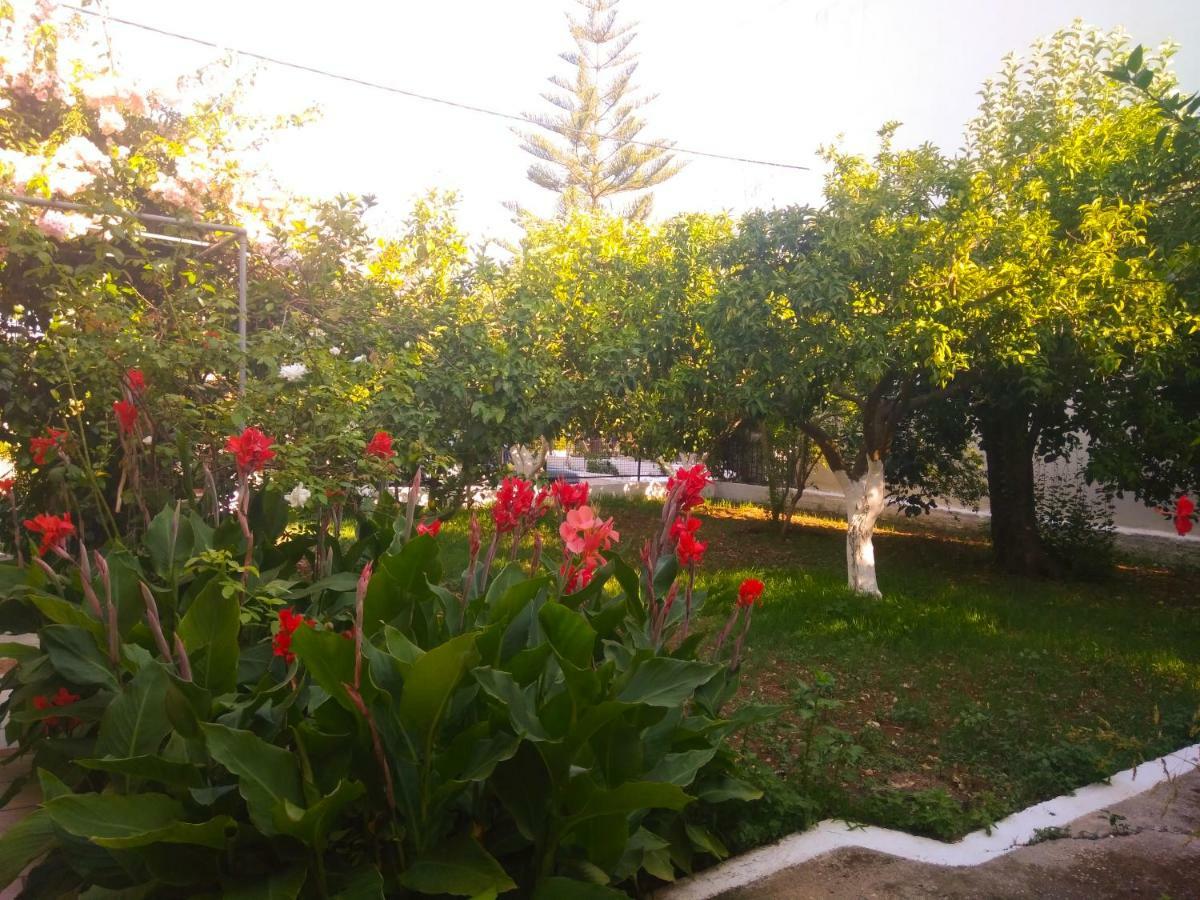 House With Garden Near The Sea Lägenhet Agia Efimia Exteriör bild