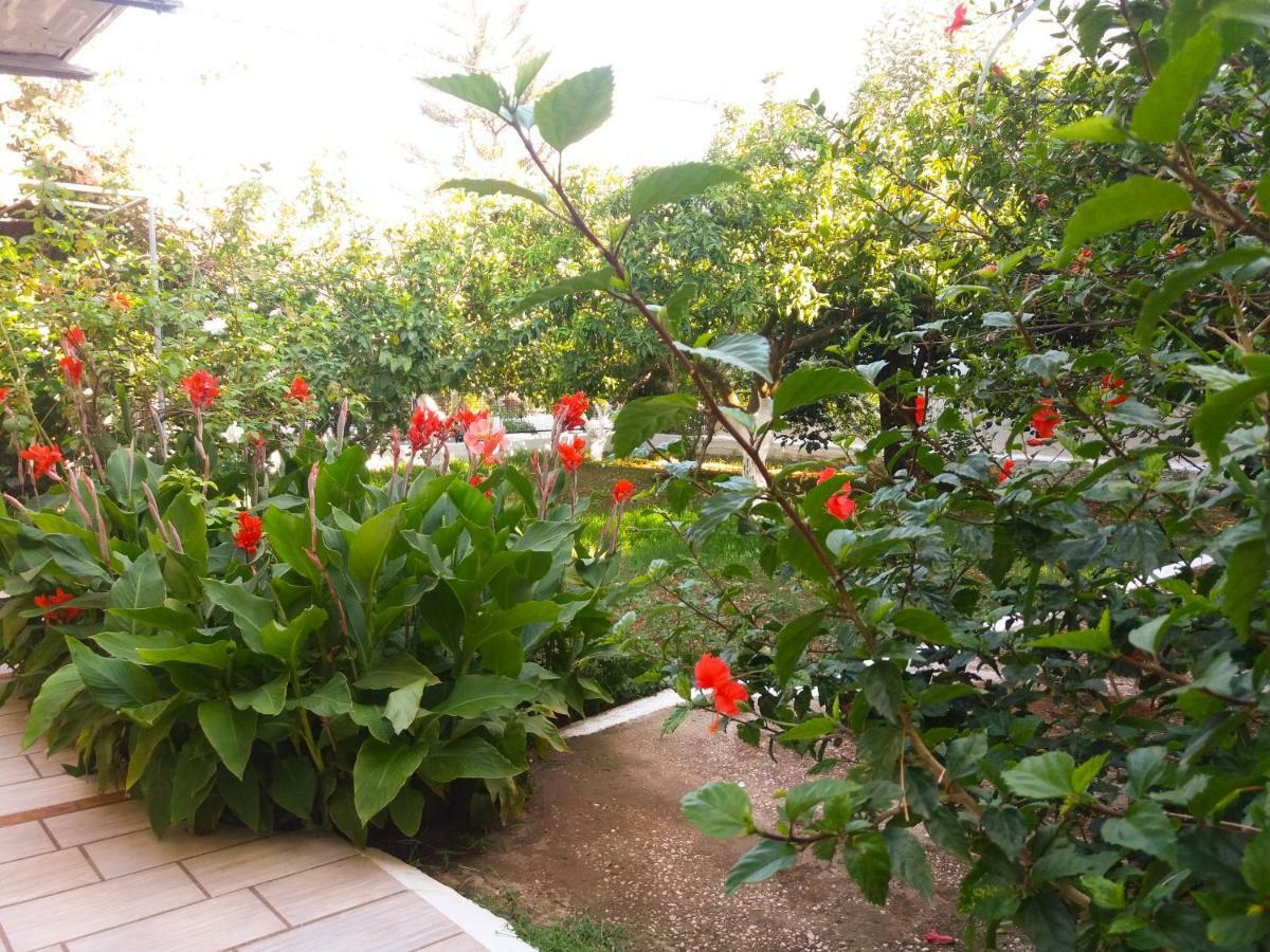 House With Garden Near The Sea Lägenhet Agia Efimia Exteriör bild