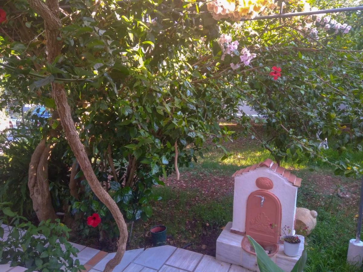House With Garden Near The Sea Lägenhet Agia Efimia Exteriör bild