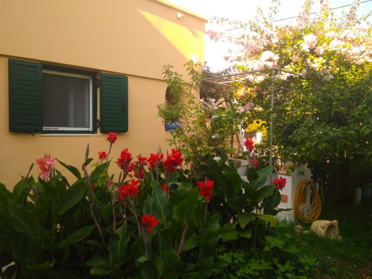 House With Garden Near The Sea Lägenhet Agia Efimia Exteriör bild