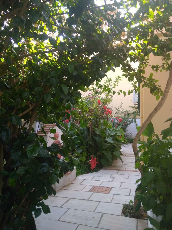 House With Garden Near The Sea Lägenhet Agia Efimia Exteriör bild